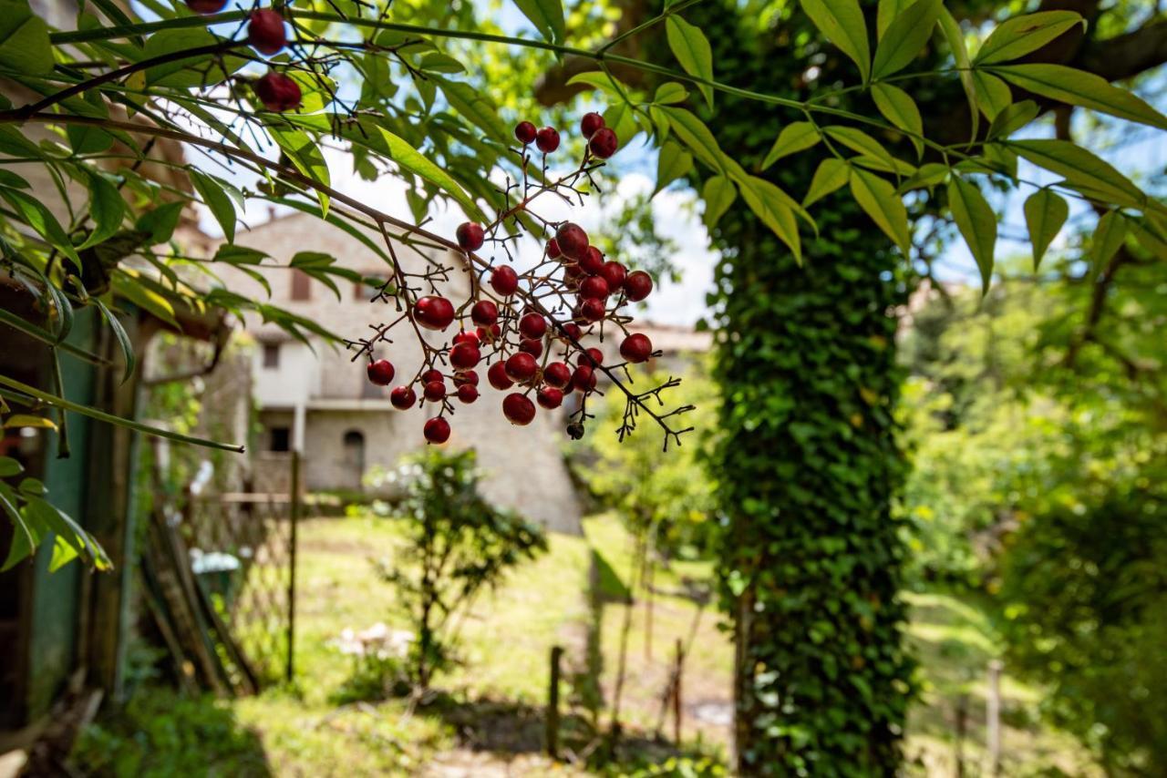 Perfetta Letizia Casa Vacanza Assis Exterior foto