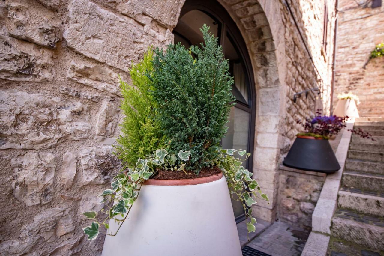 Perfetta Letizia Casa Vacanza Assis Exterior foto